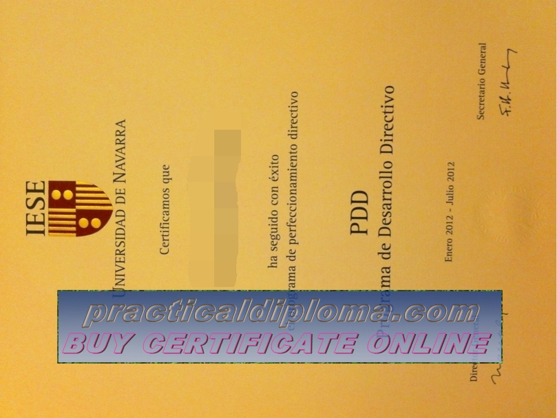 Copy Fake Universidad De Navarra Diploma Practical Diploma Website