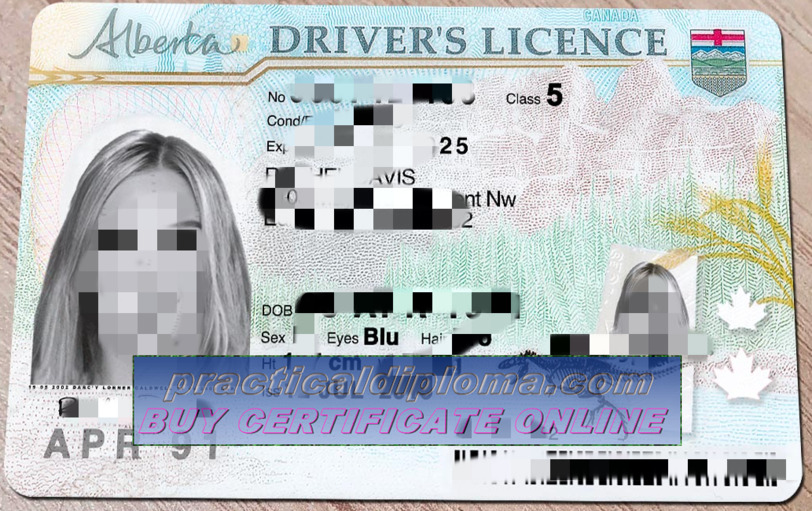  How to buy phony drivers license in alberta canada