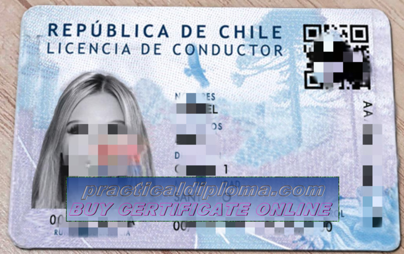  Make fake Chilean drivers license